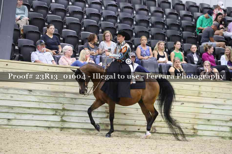 Proof 23R13_01604