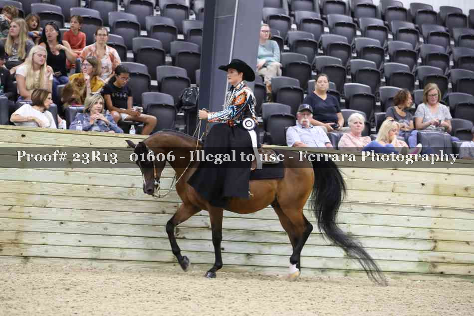 Proof 23R13_01606