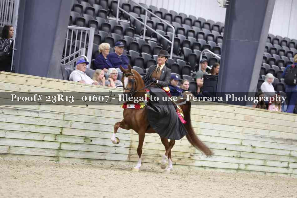 Proof 23R13_01607