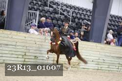 23R13_01607 proof