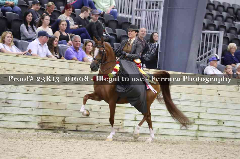 Proof 23R13_01608