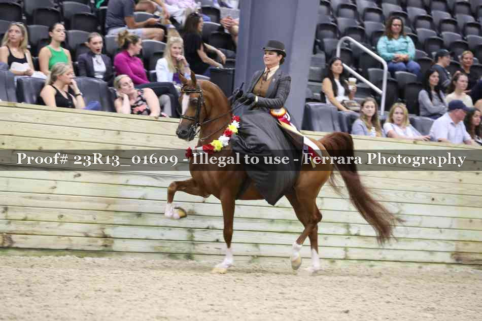 Proof 23R13_01609
