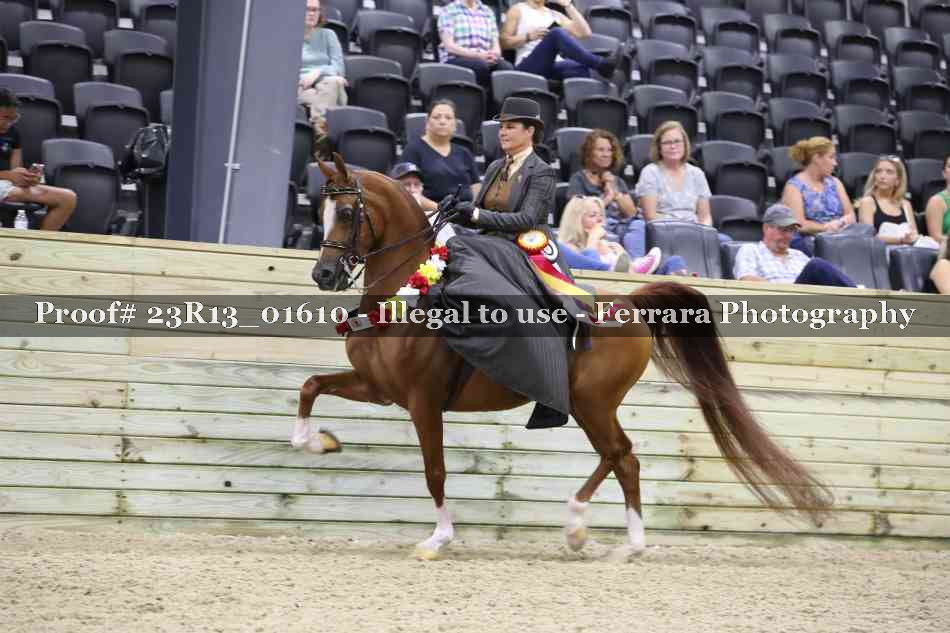 Proof 23R13_01610