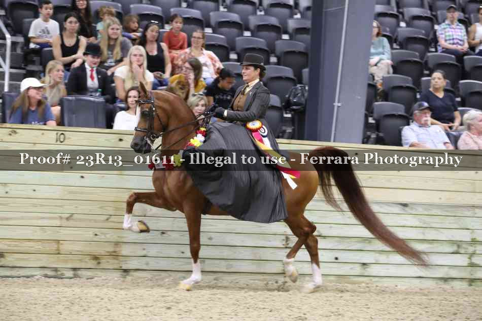 Proof 23R13_01611