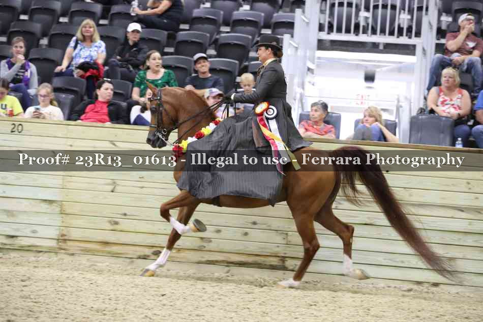 Proof 23R13_01613