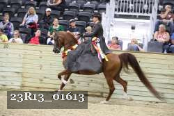 23R13_01613 proof