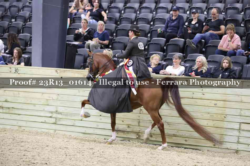 Proof 23R13_01614