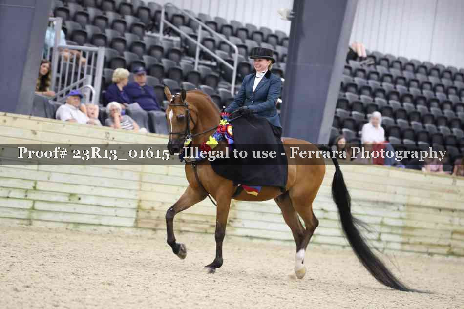 Proof 23R13_01615