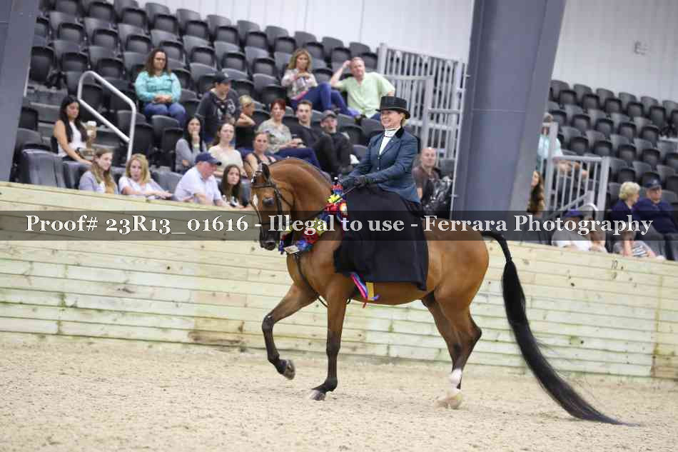 Proof 23R13_01616