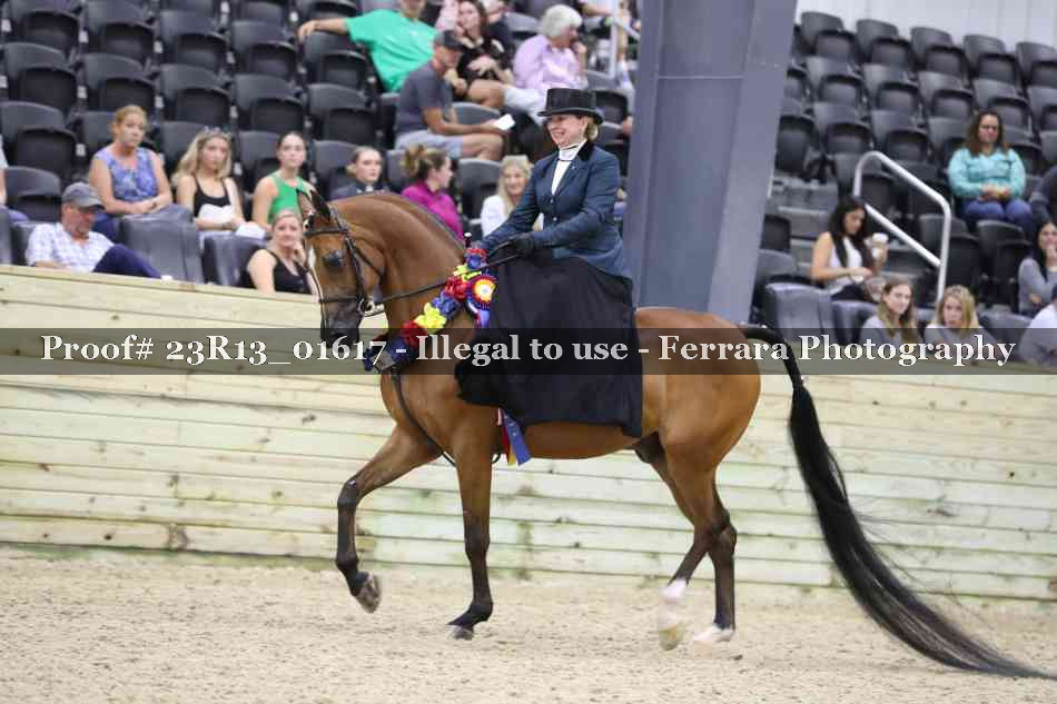 Proof 23R13_01617