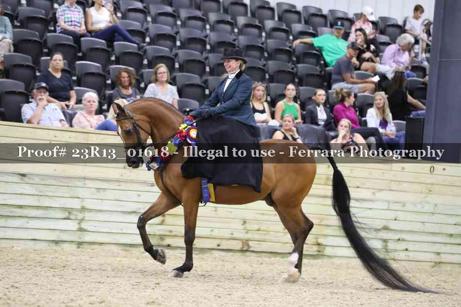 Proof 23R13_01618