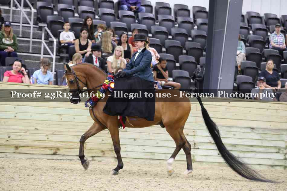 Proof 23R13_01619