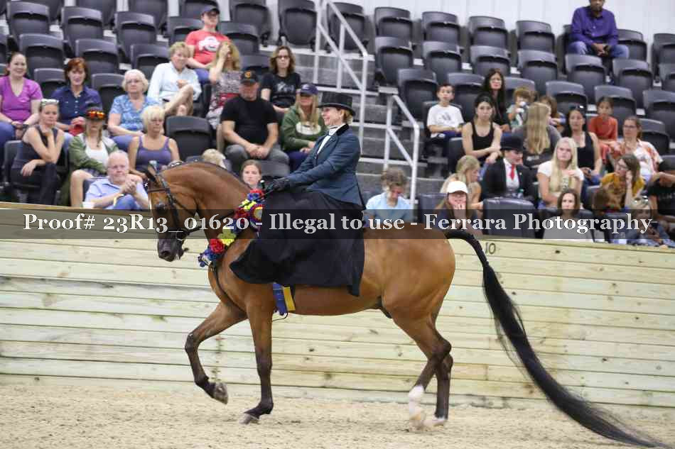 Proof 23R13_01620