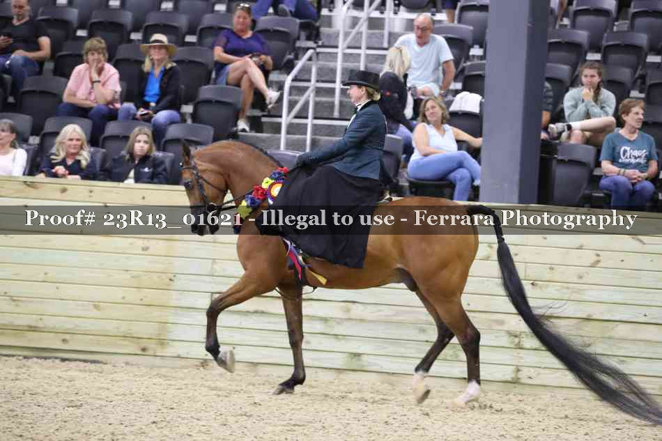 Proof 23R13_01621