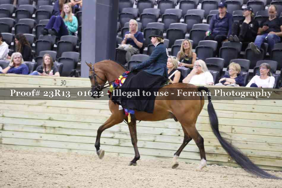 Proof 23R13_01622