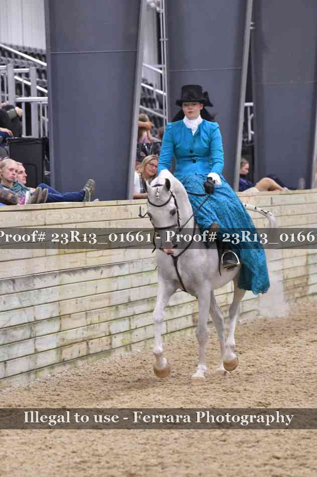 Proof 23R13_01661