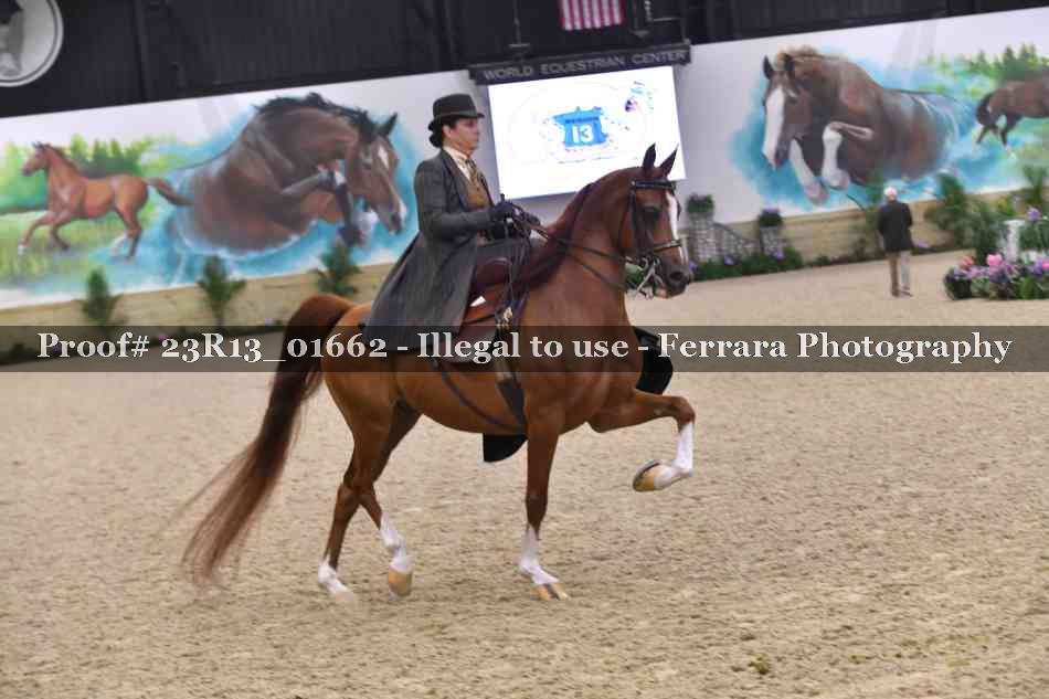 Proof 23R13_01662