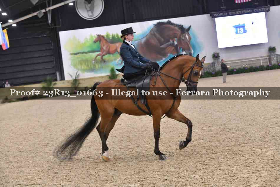 Proof 23R13_01663