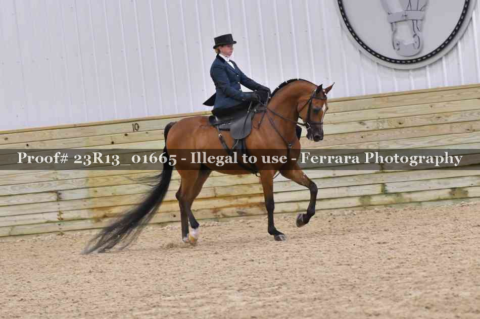 Proof 23R13_01665