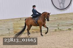 23R13_01665 proof