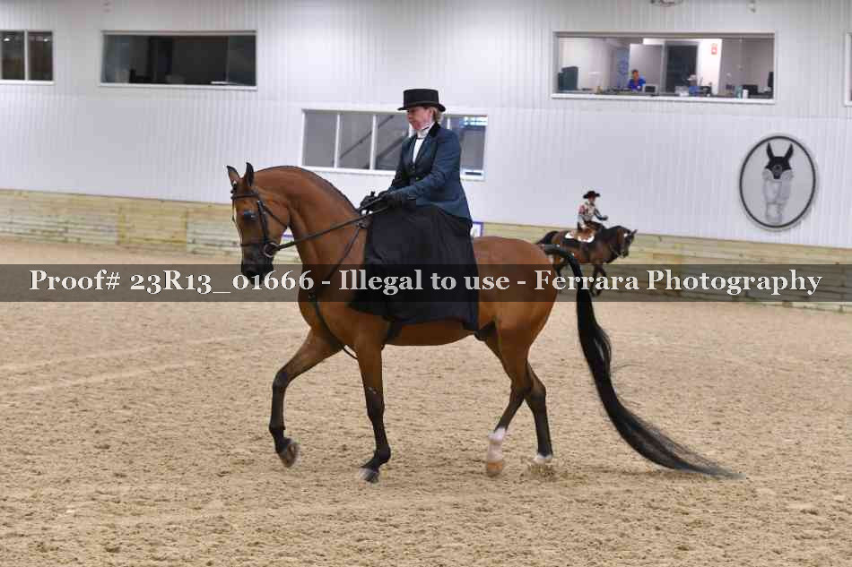 Proof 23R13_01666