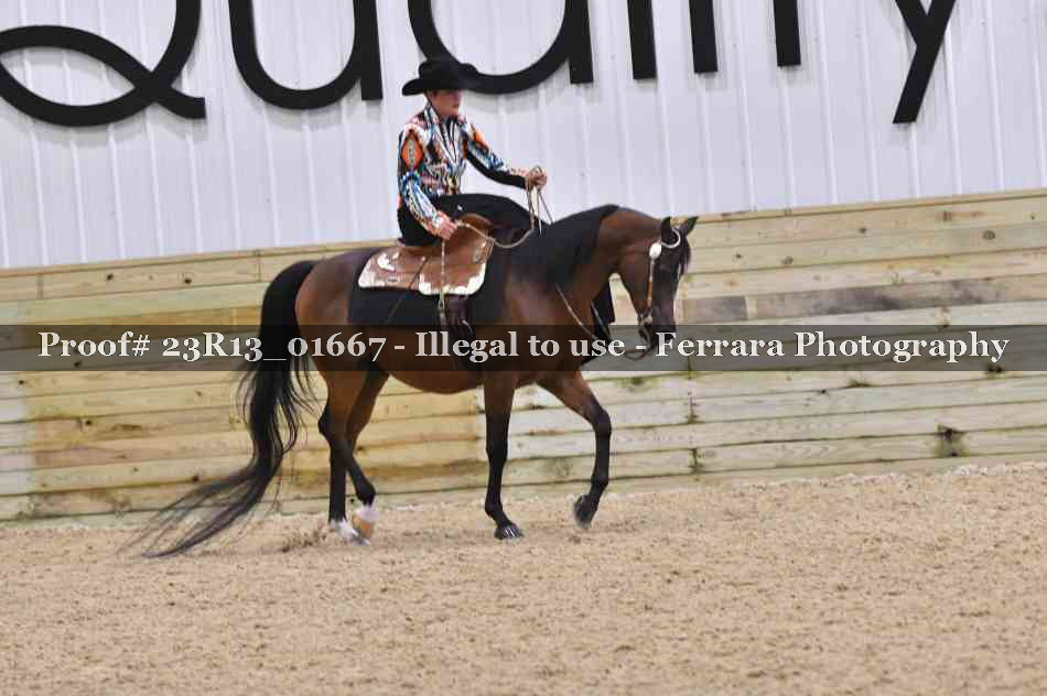 Proof 23R13_01667