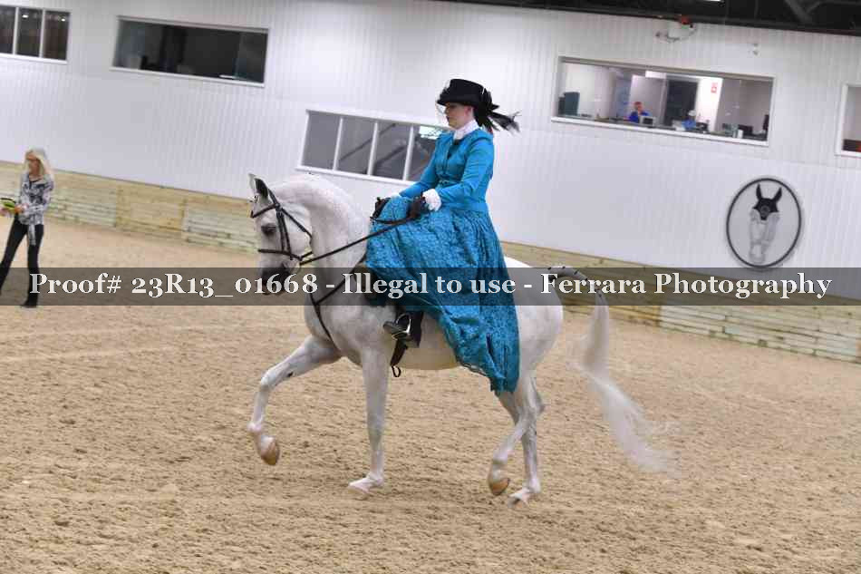 Proof 23R13_01668