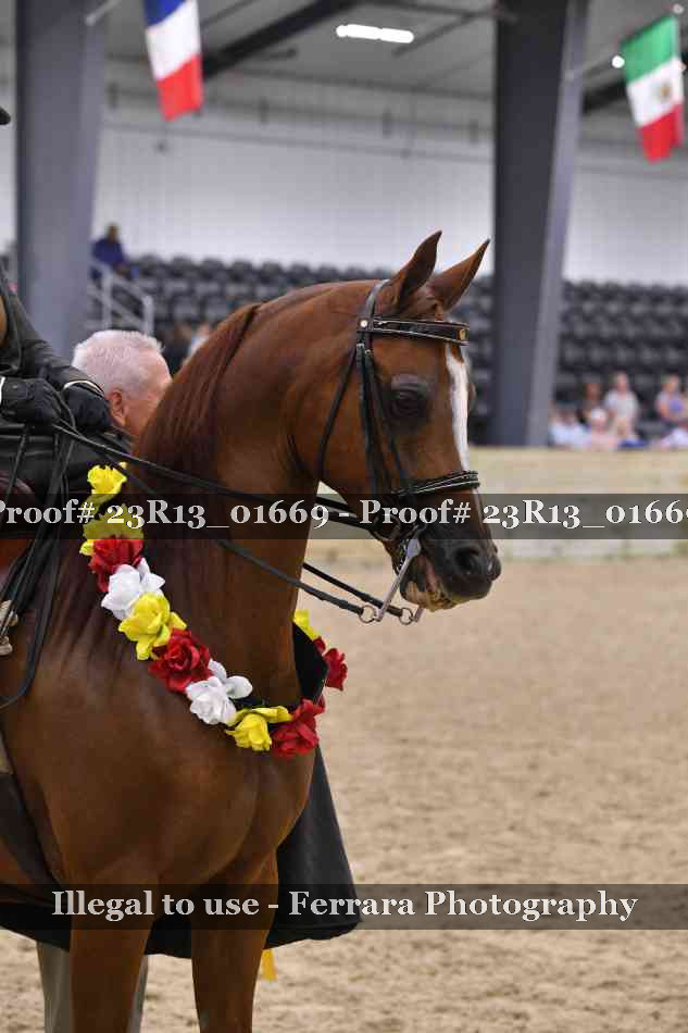 Proof 23R13_01669