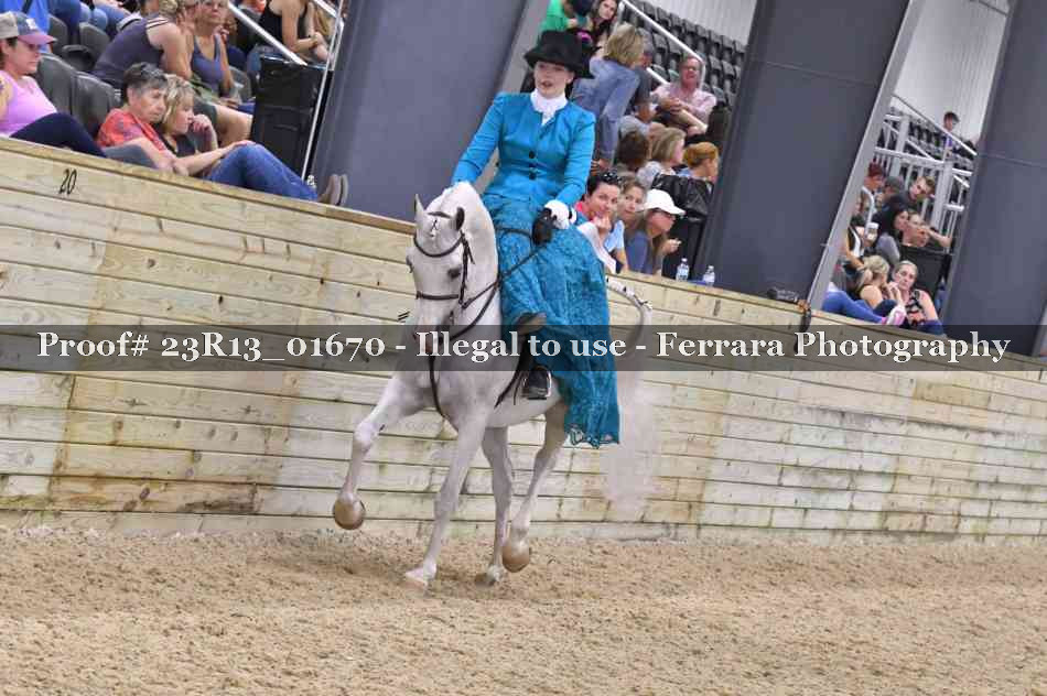 Proof 23R13_01670