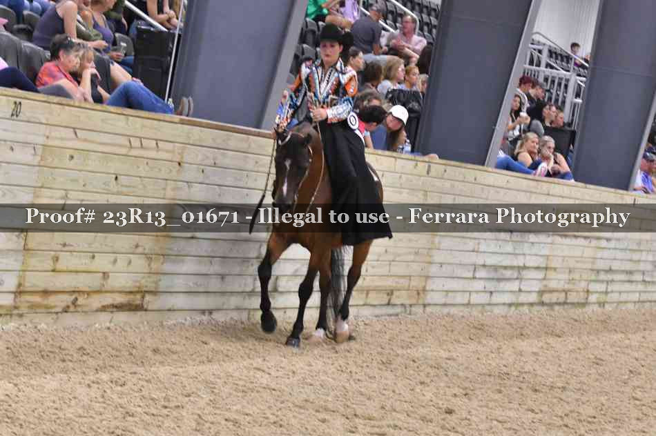 Proof 23R13_01671