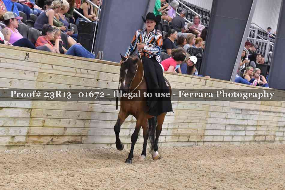 Proof 23R13_01672