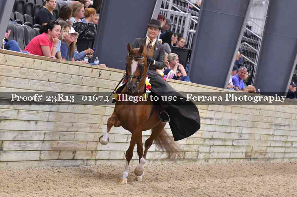 Proof 23R13_01674