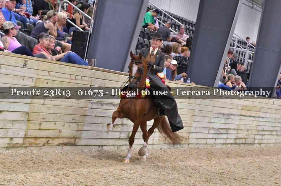 Proof 23R13_01675
