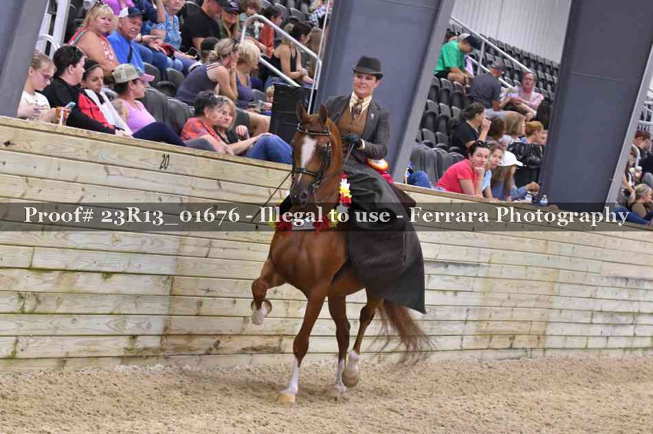 Proof 23R13_01676