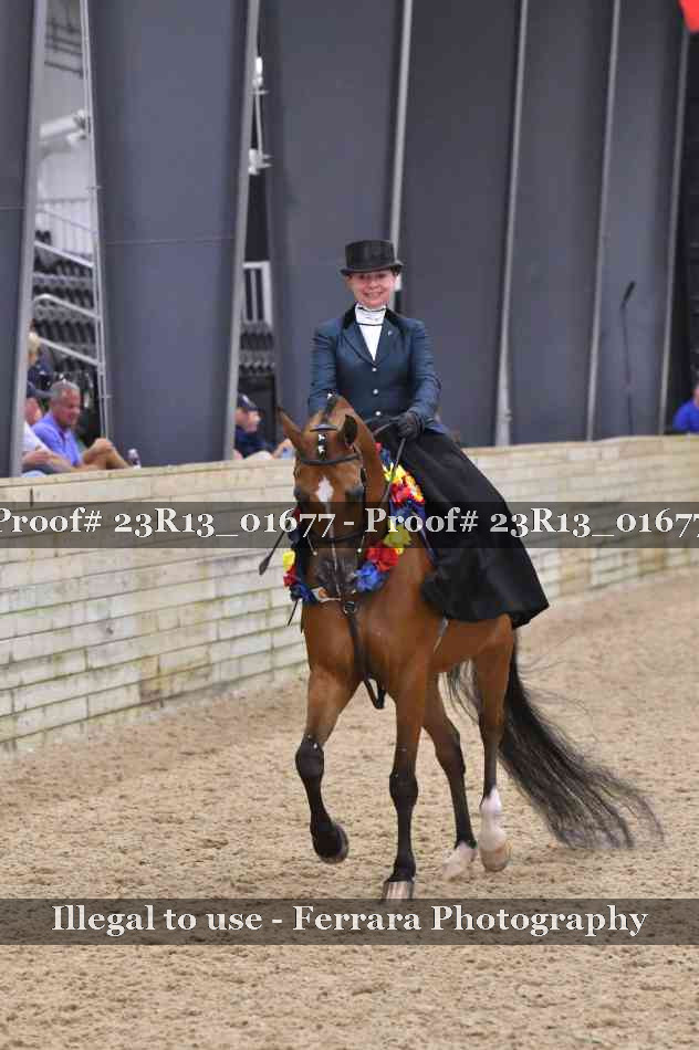 Proof 23R13_01677