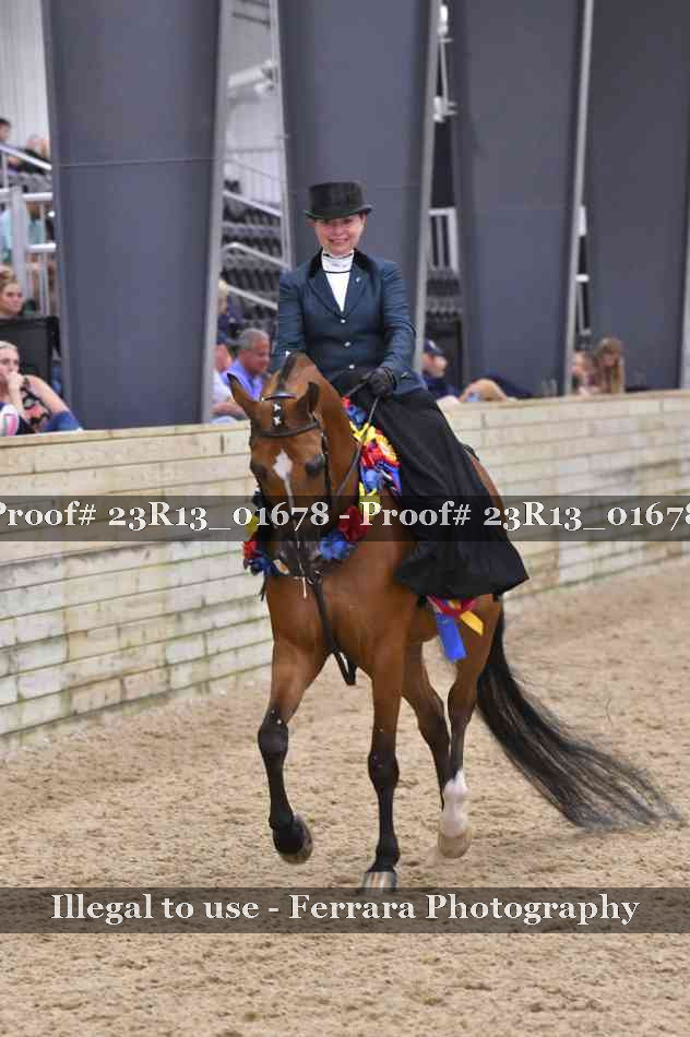 Proof 23R13_01678