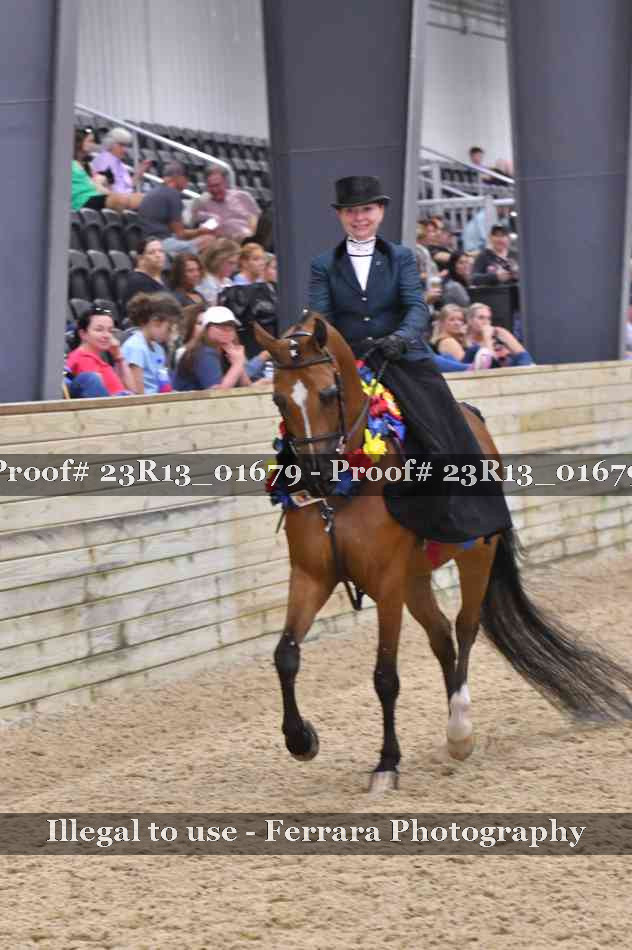 Proof 23R13_01679