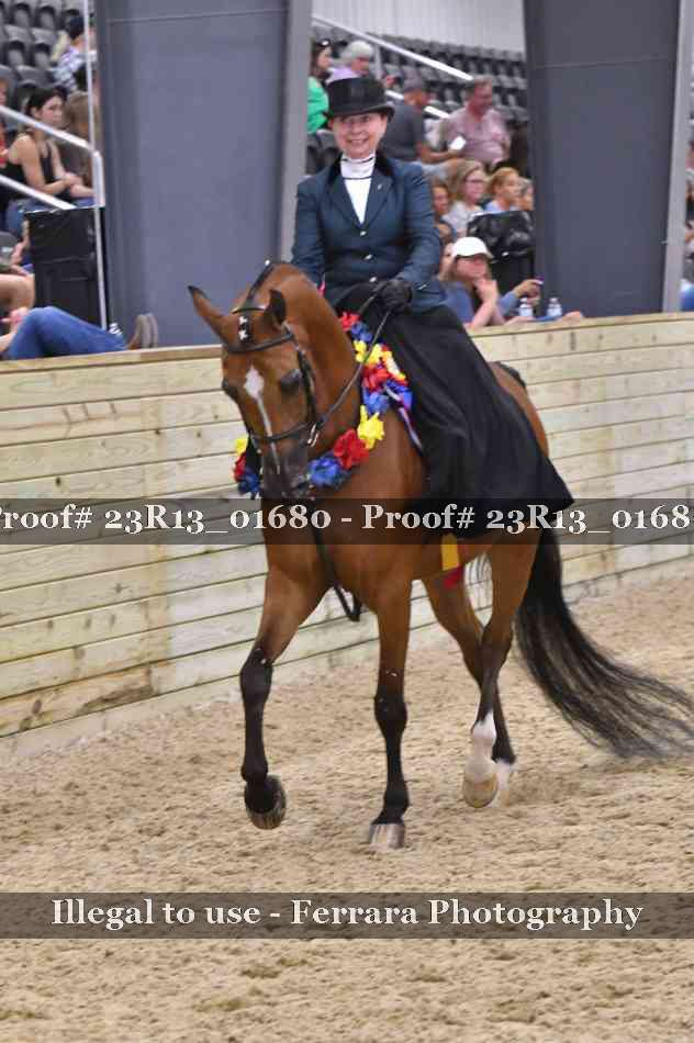 Proof 23R13_01680