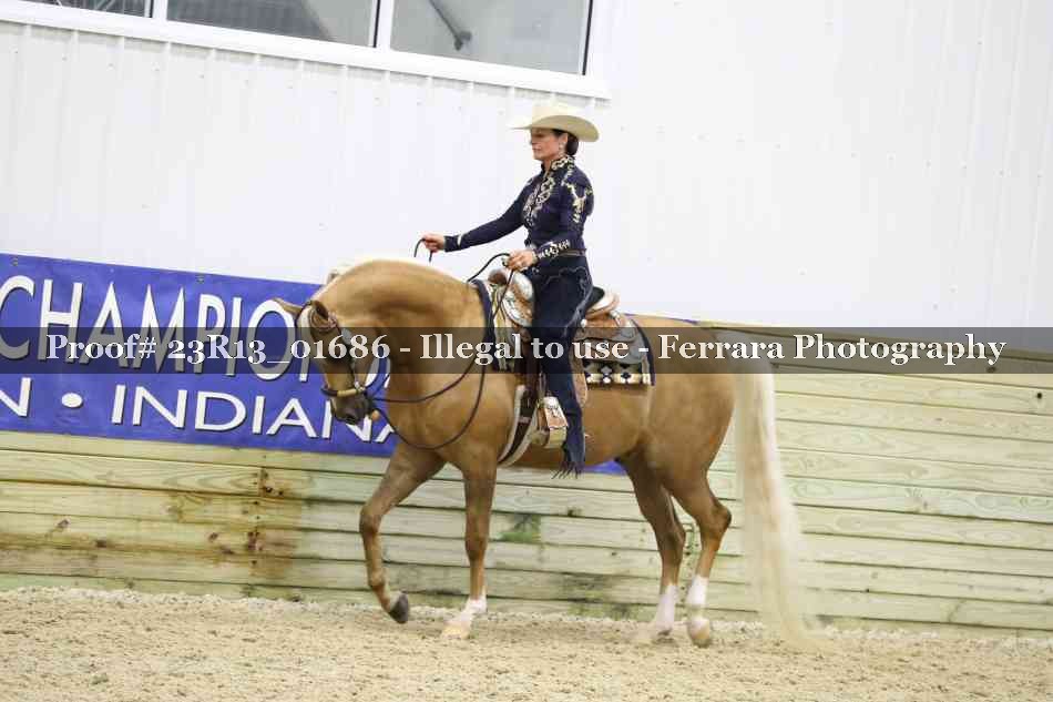 Proof 23R13_01686