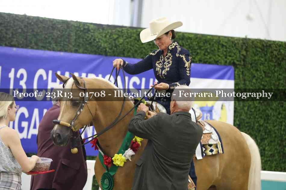 Proof 23R13_01708