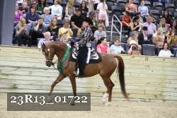 23R13_01722 proof