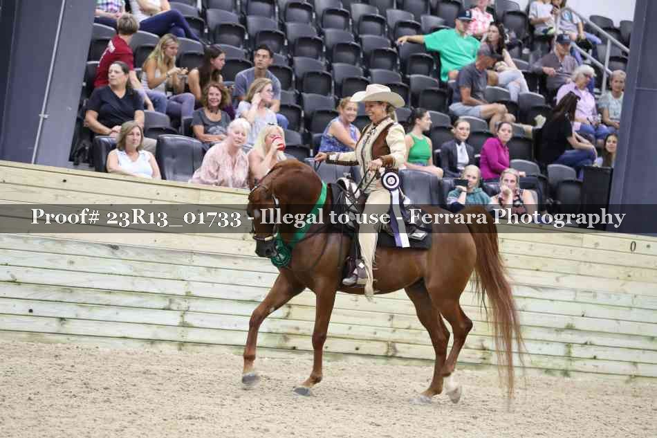 Proof 23R13_01733