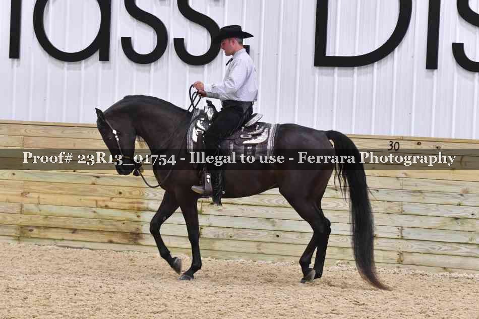 Proof 23R13_01754
