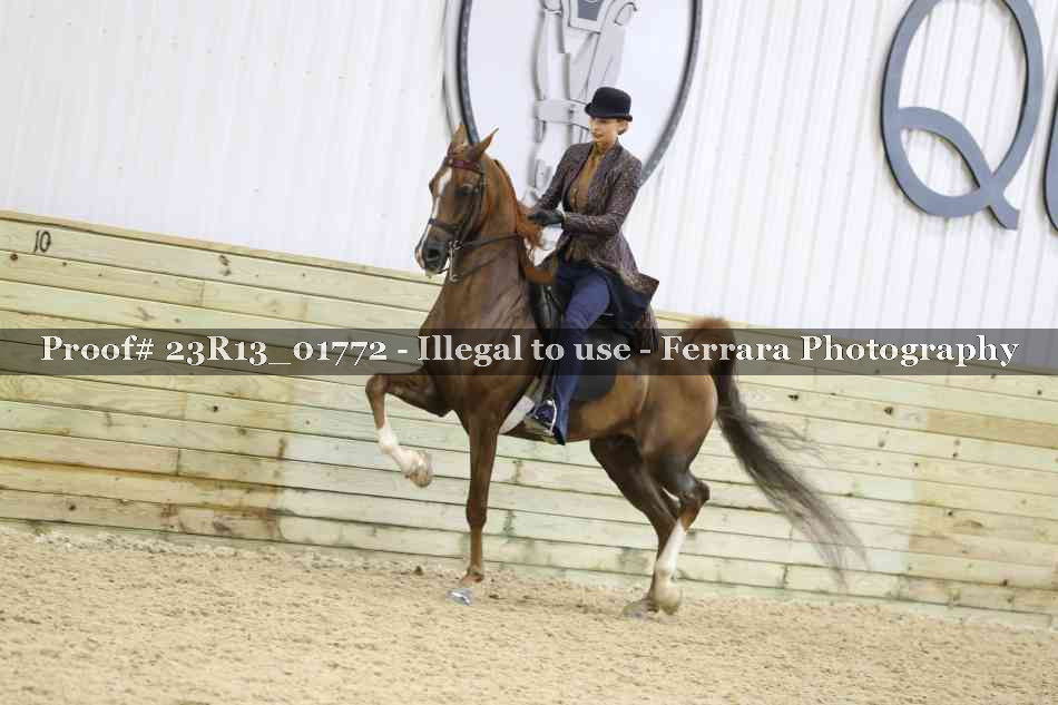 Proof 23R13_01772