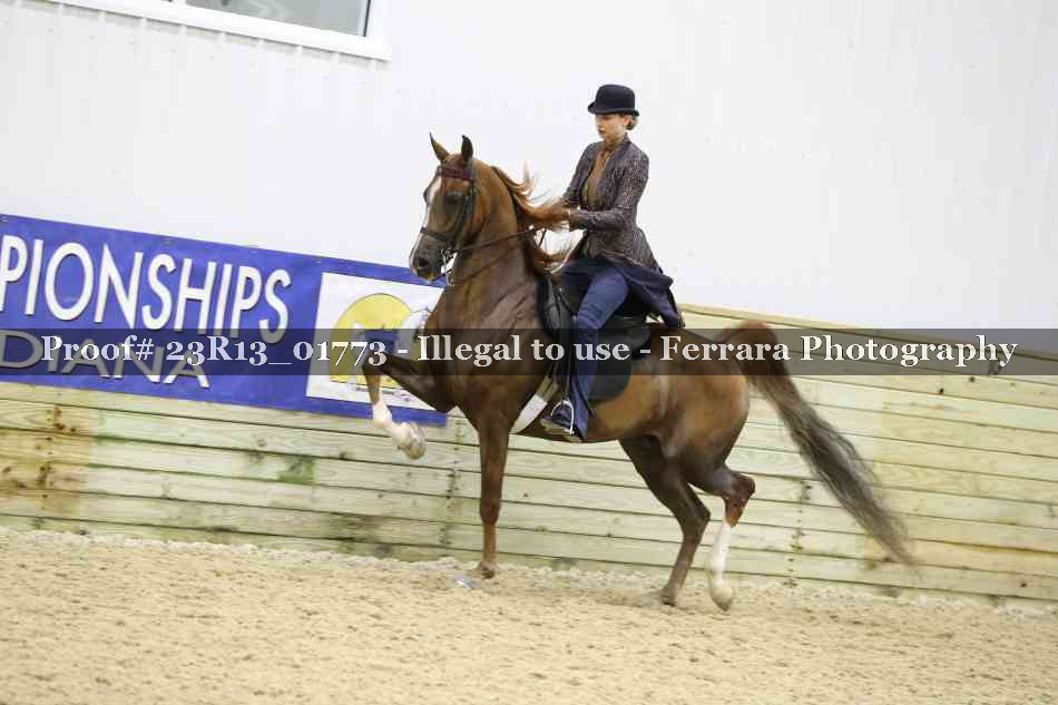Proof 23R13_01773