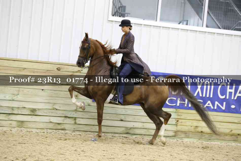 Proof 23R13_01774