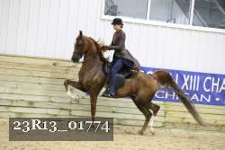 23R13_01774 proof