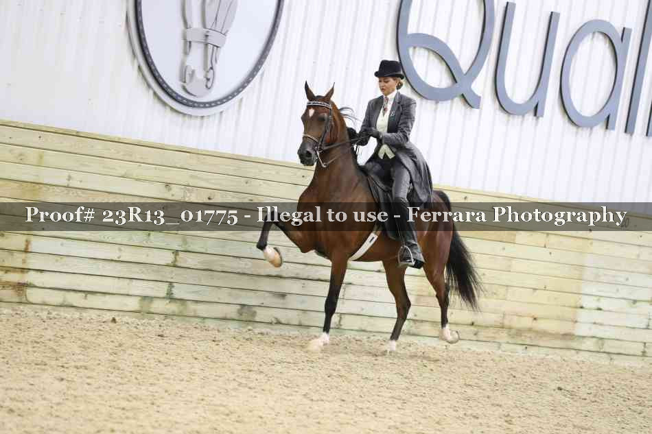 Proof 23R13_01775