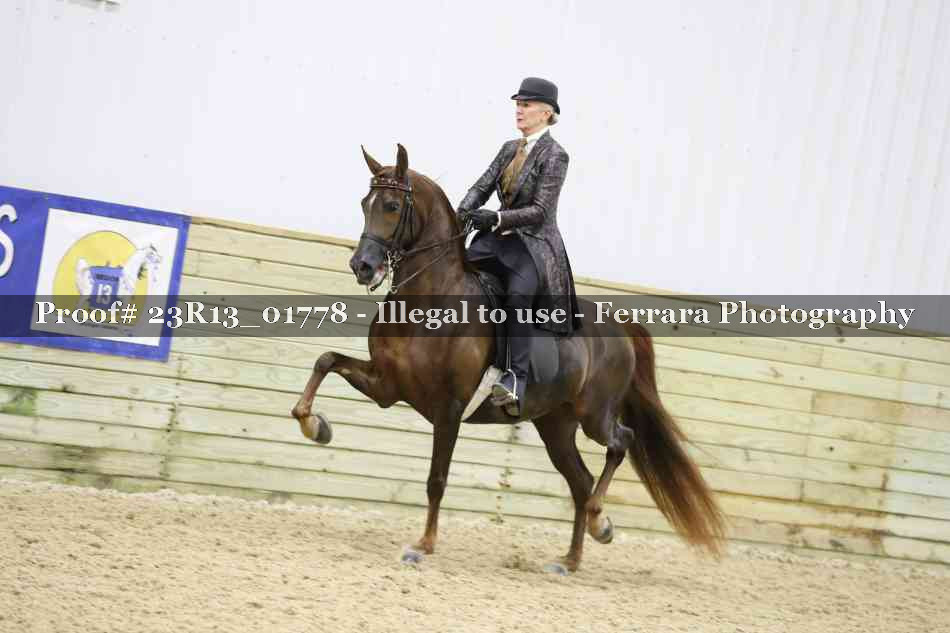 Proof 23R13_01778