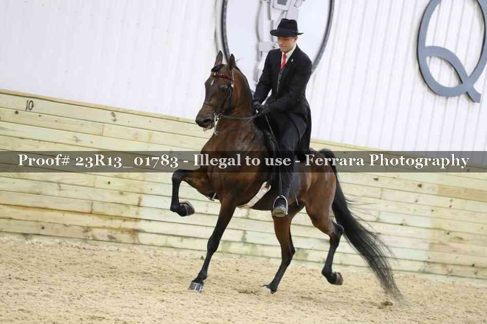 Proof 23R13_01783